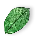 floating_leaf_01 list